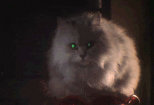 vj-gif:  Vj-gif