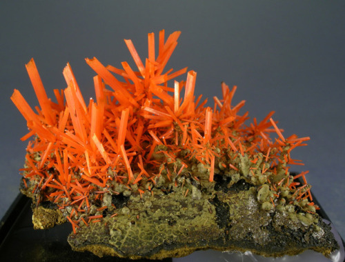 Crocoite with Gibbsite and Dundasite - Adelaide Mine, Dundas, Zeehan District, Tasmania