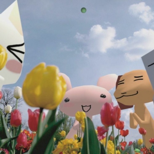  Cotton Candy. Town!