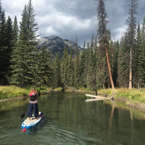 Launching from the canoe club, we paddled into Vermillion lakes via Echo Creek. #echocreek #vermilli