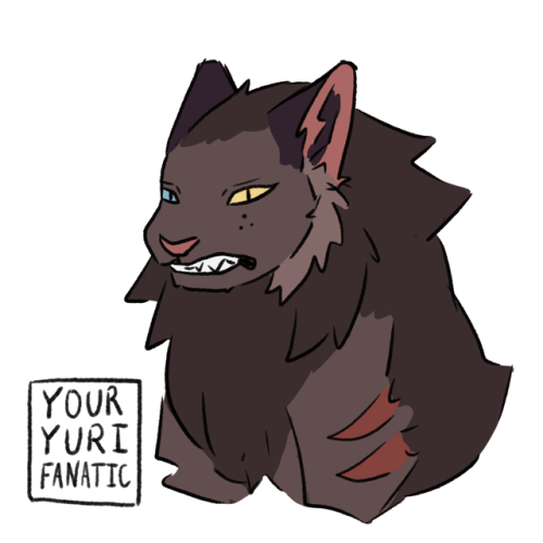 Hey, It's Catra As A Cat... Cat-ra... Yeah Cat-ra