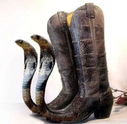 archiemcphee: Schlecky Silberstein found this incredible pair of snakeskin boots &hellip;