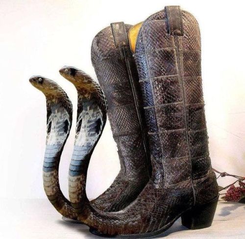 archiemcphee: Schlecky Silberstein found this incredible pair of snakeskin boots …