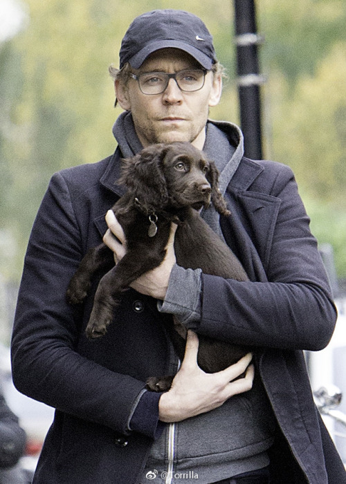 Tom with a puppy while out on a walk in London on November 9, 2017