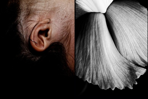 Hybrides - 2018 Denis Garnier