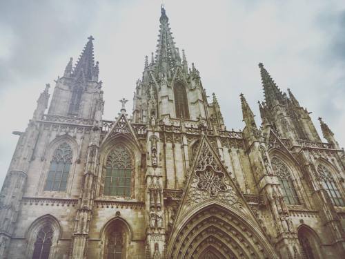 at Catedral De Barcelona, Pla De La Seu, Barcellona, Spagna