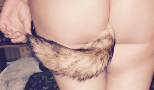 Sex daddyskittenyessir:  My fox tail ☺️ so pictures