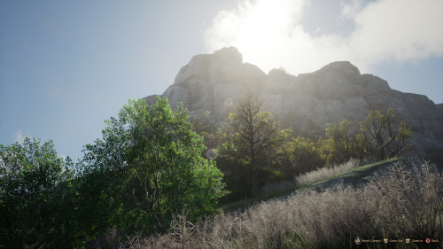 Sometimes, When You Capture The Light Just Right.