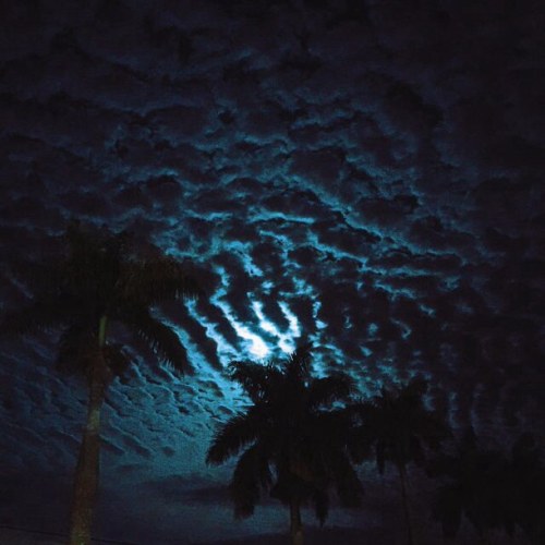 annavargxs - I can't be perfect