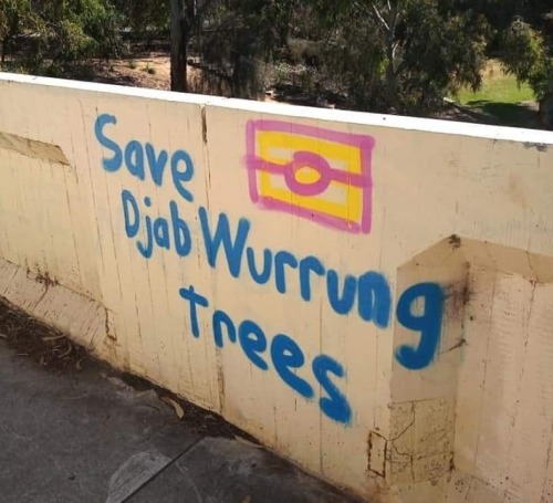 Graffiti in Kaurna Yerta / Adelaide in solidarity with the Djab Wurrung struggle to stop the Victori