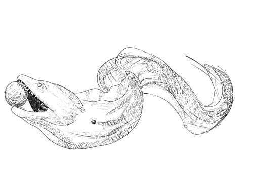 Tattoo Ideas :3