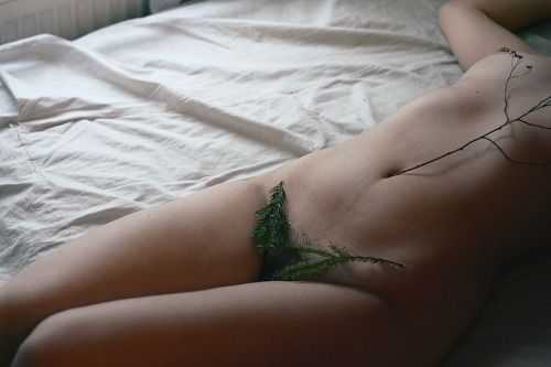 argyrials:lelianamelisandre:Fragments of nature self portrait by Leliana Melisandre I’m missing the vibrant colours and scents and shapes of nature, the skeletal trees of winter bury me in shaky lines and the only green I’m blessed with is by the
