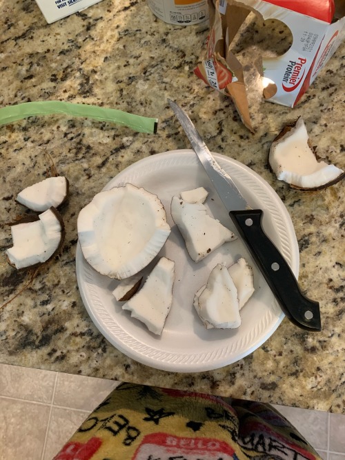 I Opened My First Coconut And Was Very Proud Of Myself