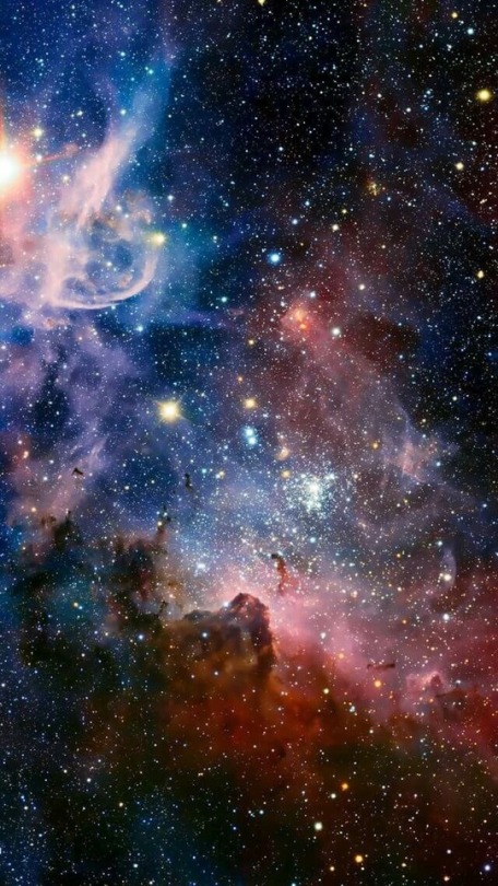 wallpaperciels:  