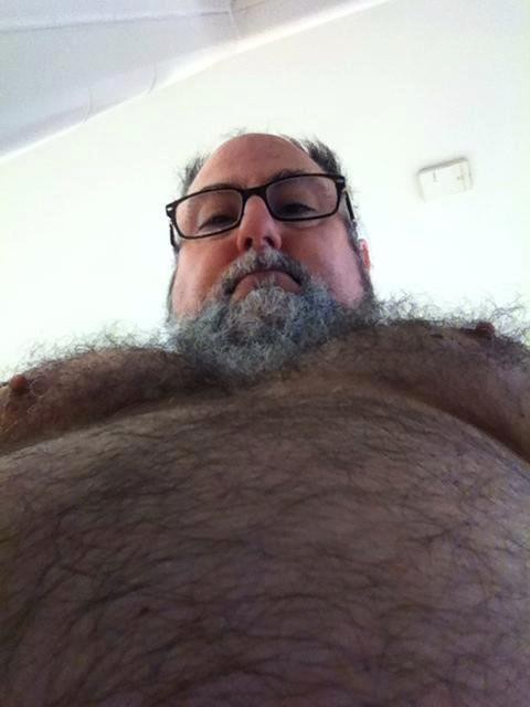 Bear Bulge