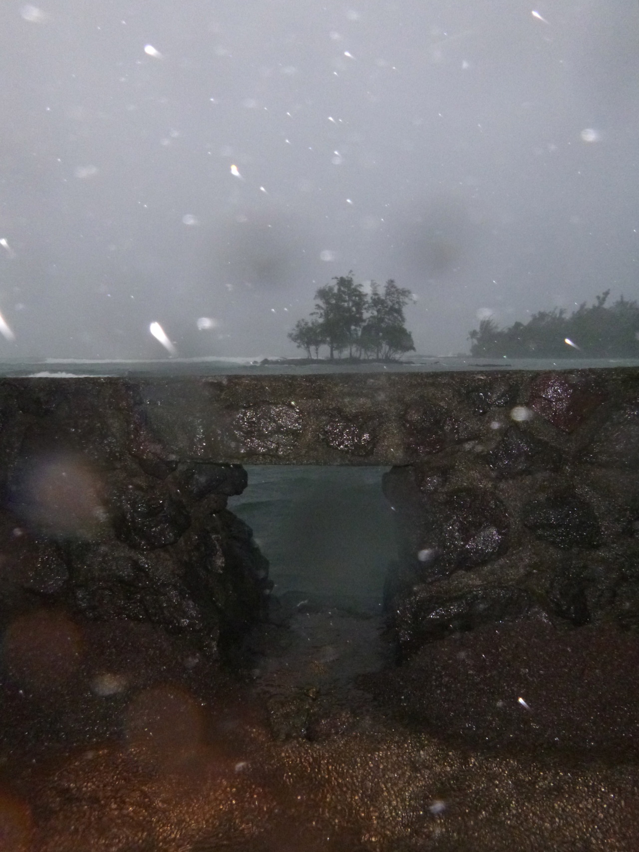 riverselkie:  imatallelf:  riverselkie:  ventured out into a storm yesterday with