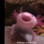 genericperson9