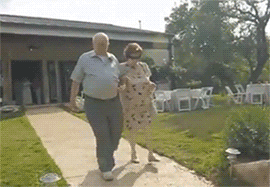 frankbainimarama: bussyclench:  hoebutmadefashion:  airrogance:  iamweiner:  thighclapper: