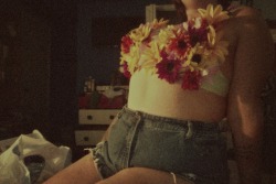 chubby-bunnies:  flower power nineteen, size