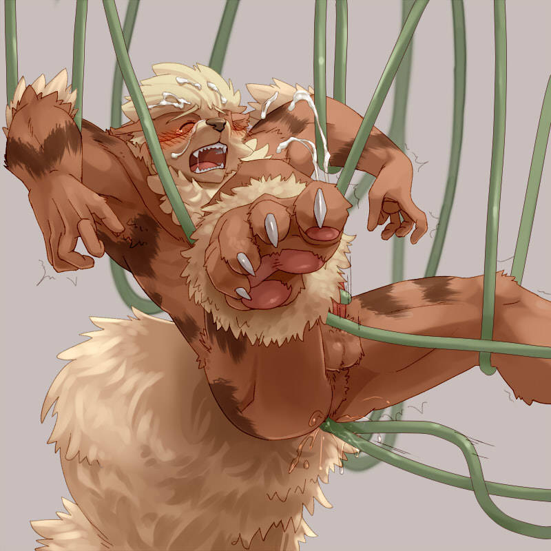 paws-in-play:  Arcanine ..Getting  into strange situations.. 