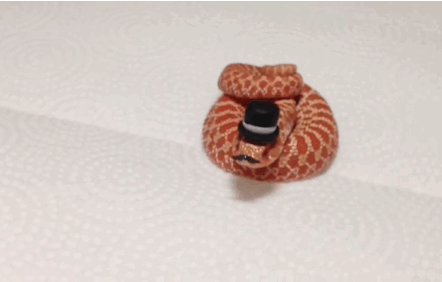22 Reasons Why Reptiles Make Terrifying Pets