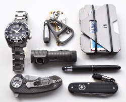 everydaycarry:  Seiko Sumo Curtiss F3 Compact Zebralight SC52 Quantum DD NME Ti bottle opener Fisher Space Pen w/ Stylus end Alox Cadet Obstructures Wallet Read More 