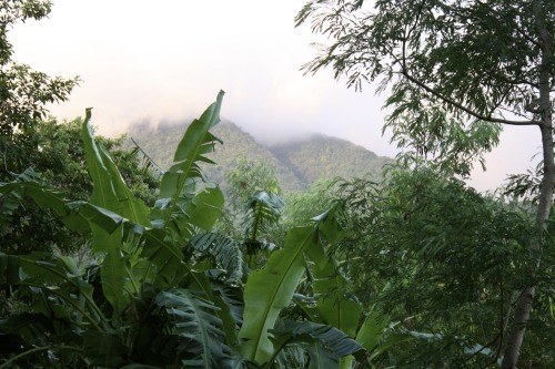 tropiqua-l:  postcardsfromsarah:  Misty volcano. Ometepe Island, Nicaragua  ☯ q’d active and i follo