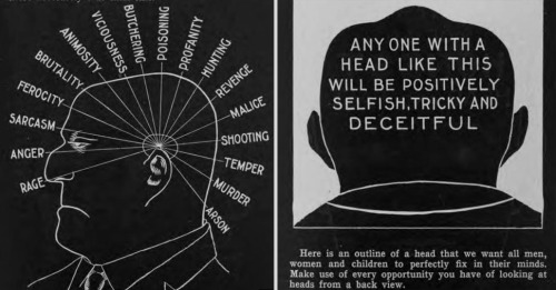 chaosophia218:  L.A. Vaught - Phrenology porn pictures