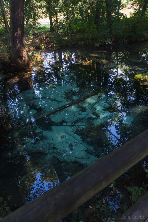 licze:  Blue water spring called Źródło