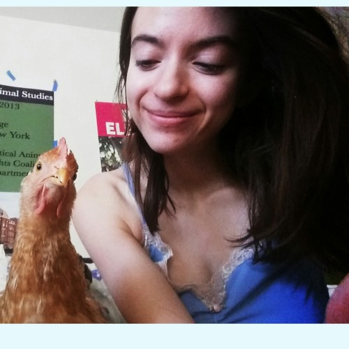 Chickens make the best companions. #1in58billion #FriendNotFood