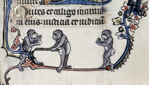 monkey baseball  Psalter, Flanders ca. 1320-1330. Bodleian Library, Douce 6, fol. 114r