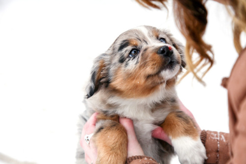 puppppp www.instagram.com/easanti/