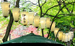 ileftmyheartintokyo:  Row of lanterns by Pixelglo Photography on Flickr.