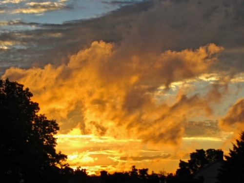 Happy solstice to all, and may the days ahead bring good things to all, especially those who need th