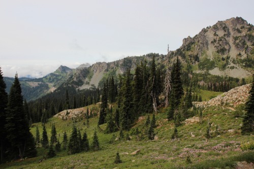 burningmine:Sheep Lake to Sourdough Gap Trail, August 2018