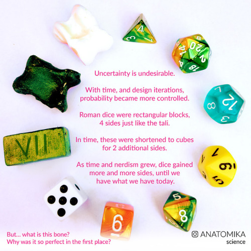 arsanatomica:The Evolution of Dice !I’ve been wanting to do this one for a long time.Is it pretty un