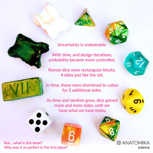 The Evolution Of Dice ! I’ve Been Wanting To Do This One For A Long Time. Is It Pretty Understandable?