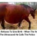 interruptingkau:I love clickbait so much