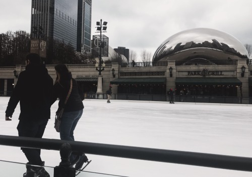 The Bean Chicago, Illinois January 2017