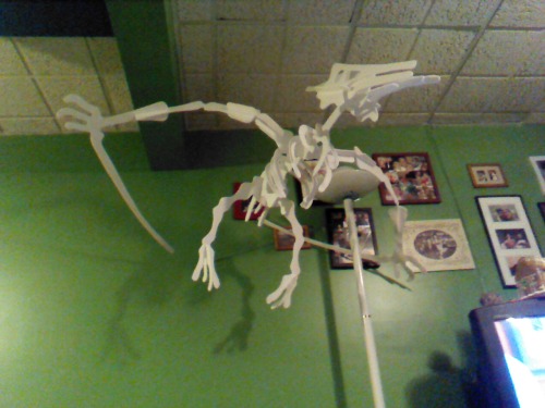 The giant Pterodactyl for Dylan&rsquo;s birthday. I&rsquo;m also making a trex, Stegosaurus,