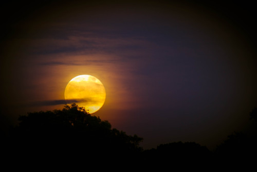 lensblr-network: rising supermoon over boston, 6/23/13 it was pretty overcast and humid..she rose triumphantly, then quickly disappeared into the haze as a beautiful pastel smudge in the night sky. by Paul Castellano  (babalou71.tumblr.com)