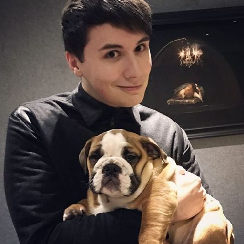 danisnotonfire: here is something to brighten your day just do a look at this sleepy young pupper an