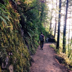 Multnomah Falls 