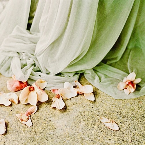 I Tell You, These Tyrells Are Only Lannisters With Flowers.