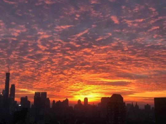madmadge67:  NYC Sunset 2/2/19