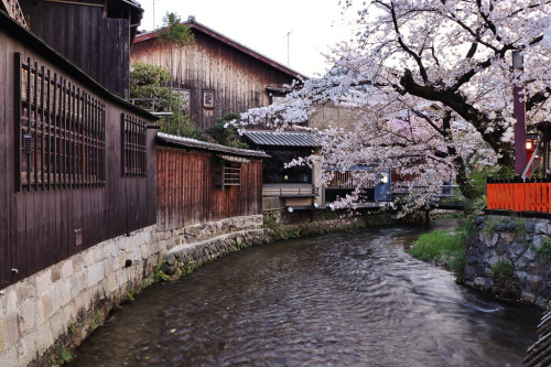 ps1: 京都 祇園白川