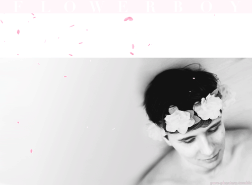 a pastel dream ❀