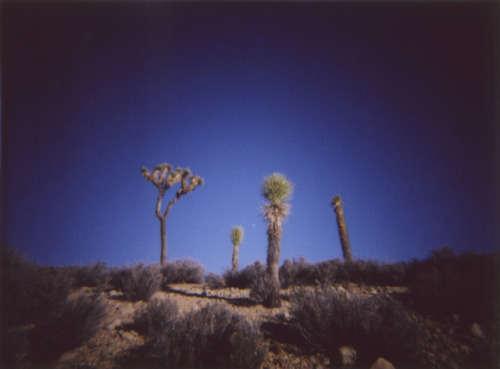 Mojave Desert - 2015FACEBOOK * INSTAGRAM