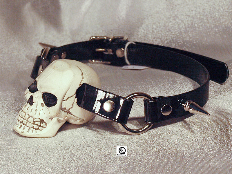 cookiethepup:  vegankinkgear:  [x]  that gag though 