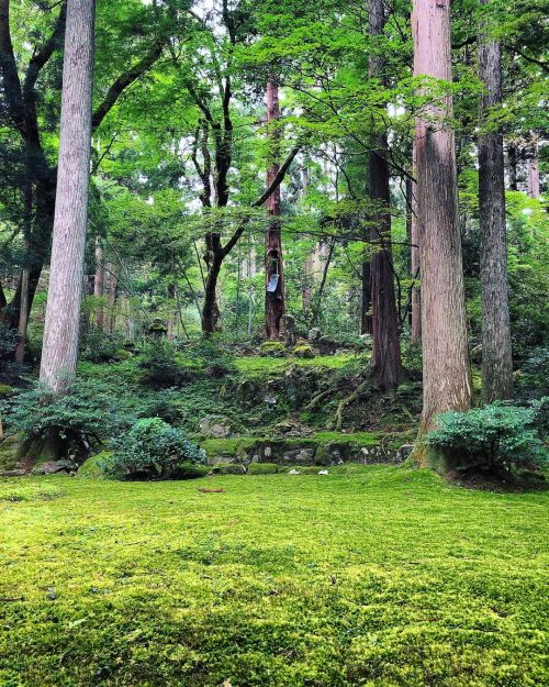 旧玄成院庭園 [ 福井県勝山市 ] Kyu-Genjoin Temple Garden, Katsuyama, Fukui の写真・記事を更新しました。 ーー“苔寺”白山平泉寺の一角に残る、室町幕府管